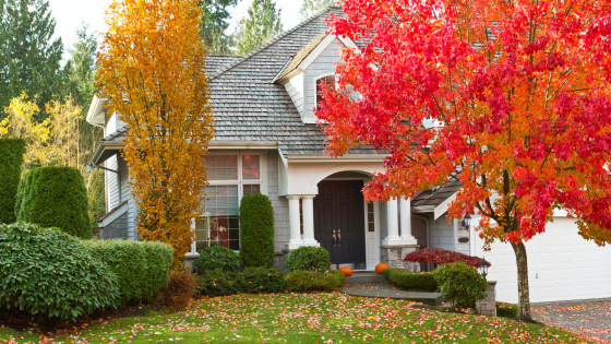 Homeowners: Preparing Landscaping for Cooler Weather | Cressy & Everett